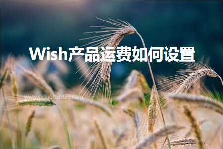 跨境电商知识:Wish产品运费如何设置