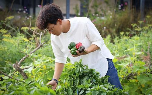 鍏充簬澶忓ぉ娓告吵鐨勫敮缇庡彞瀛愶紙鏂囨321鏉★級