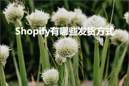 璺ㄥ鐢靛晢鐭ヨ瘑:Shopify鏈夊摢浜涘彂璐ф柟寮? width=