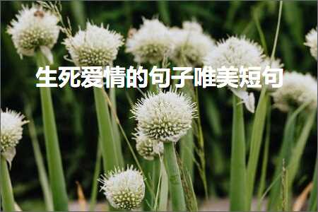 鐢熸鐖辨儏鐨勫彞瀛愬敮缇庣煭鍙ワ紙鏂囨7鏉★級